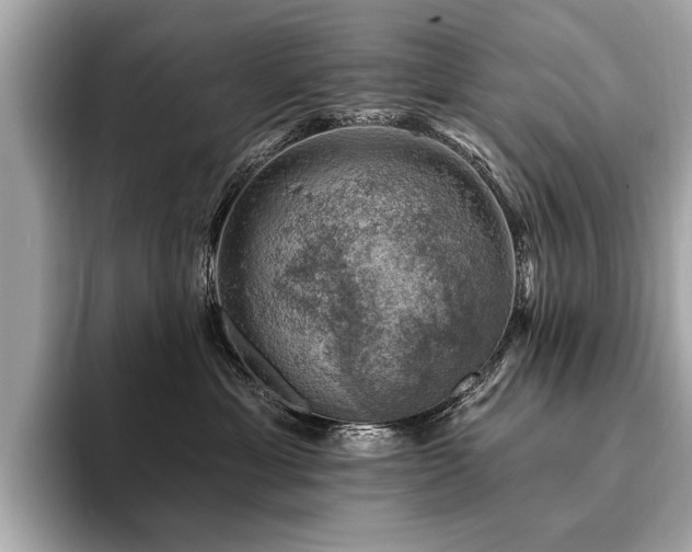 X0000094380429200711021229