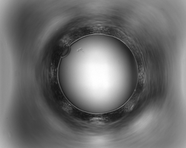 X0000094380430200711021229