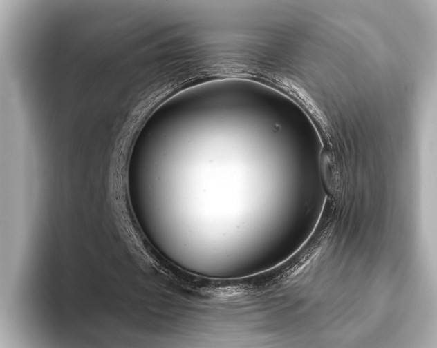X0000094380433200711021229