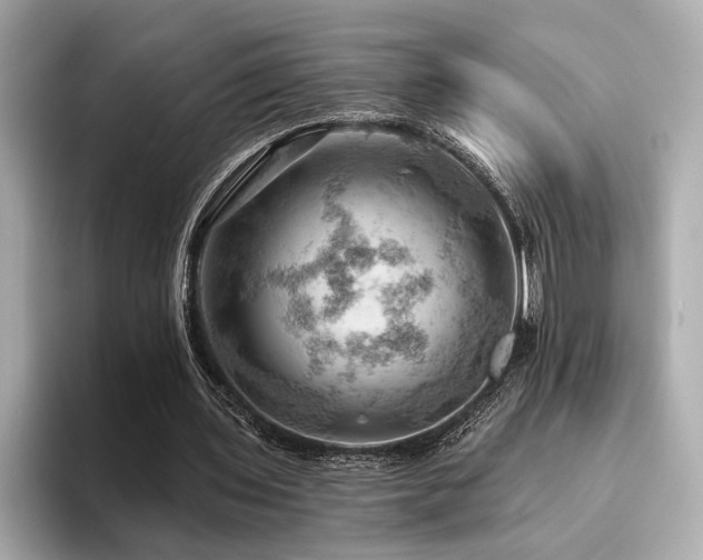 X0000094380435200711021229