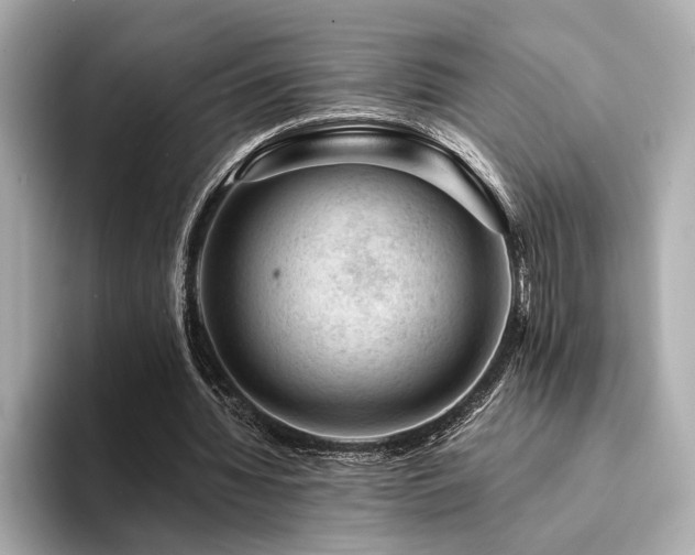 X0000094380436200711021229