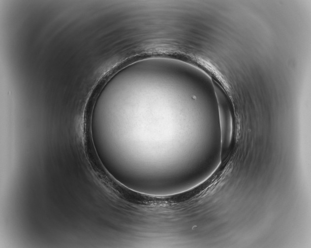 X0000094380439200711021229