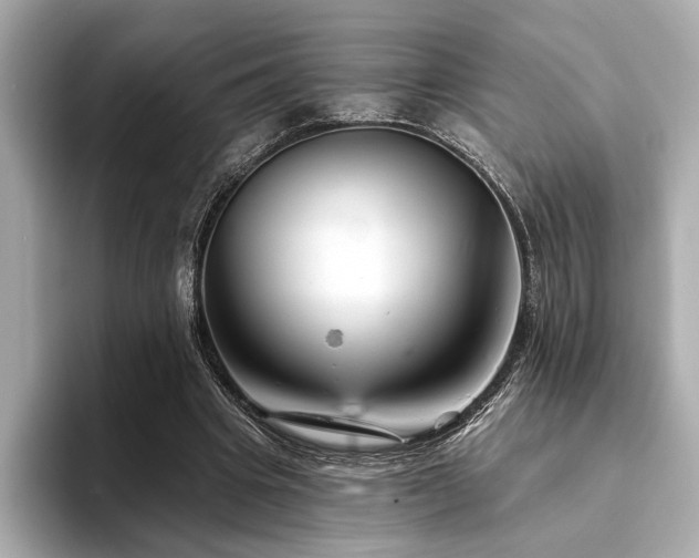 X0000094380441200711021229