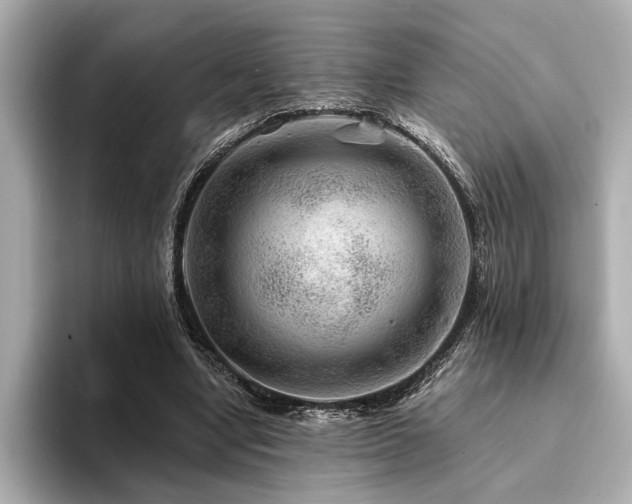 X0000094380442200711021229