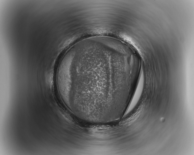 X0000094380443200711021229