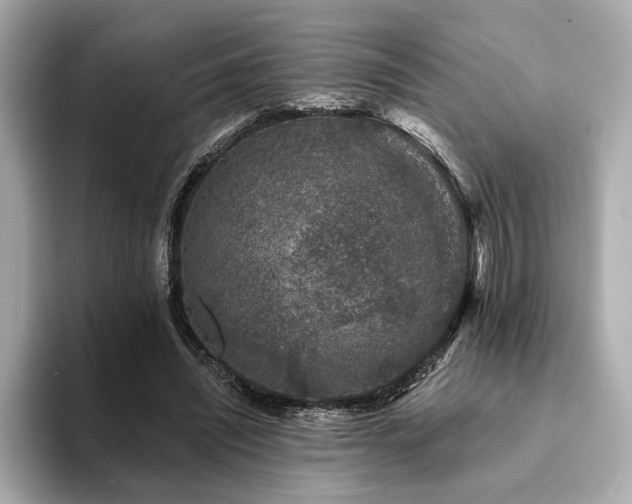X0000094380444200711021229