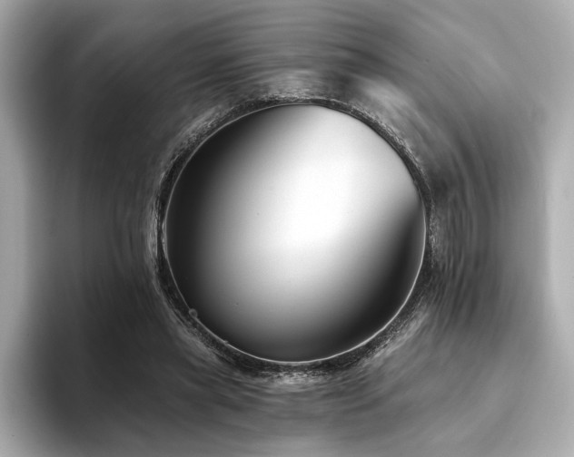 X0000094380445200711021229