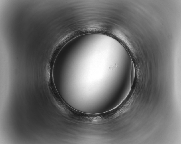 X0000094380446200711021229