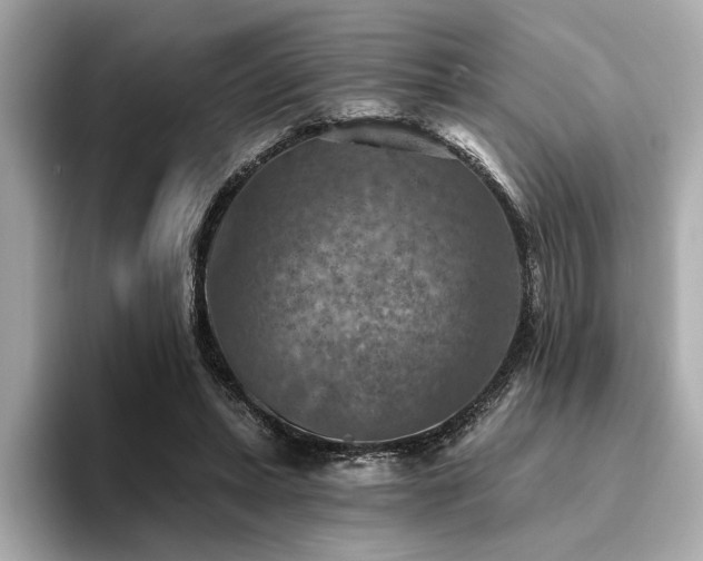 X0000094380447200711021229