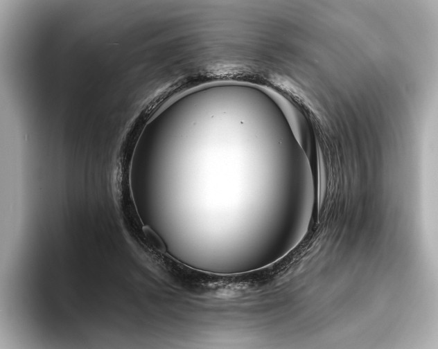 X0000094380448200711021229