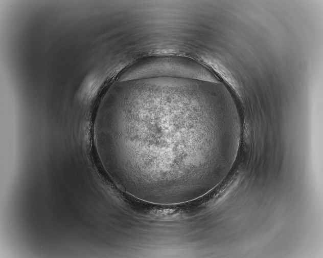 X0000094380449200711021229