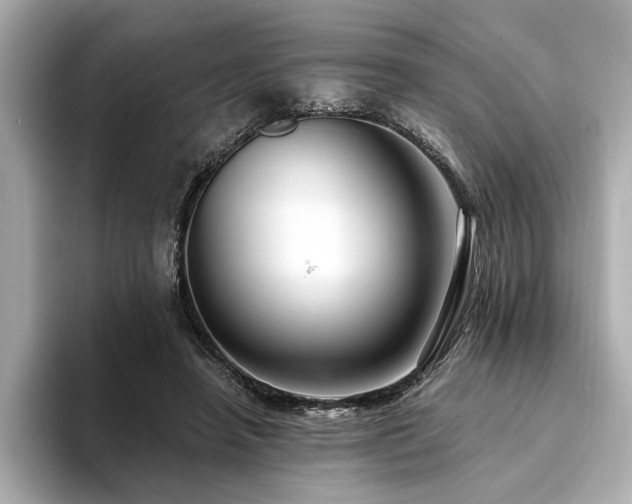 X0000094380450200711021229