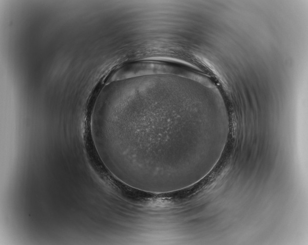 X0000094380451200711021229