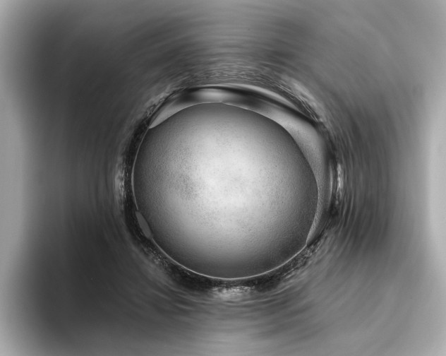X0000094380452200711021229
