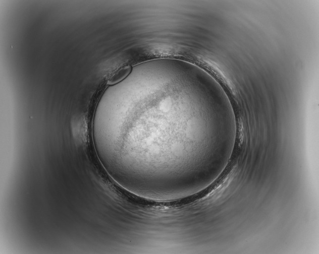 X0000094380453200711021229