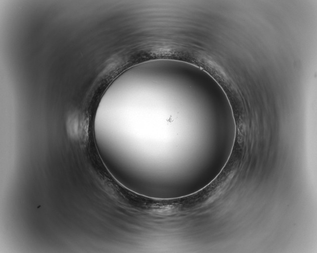 X0000094380454200711021229