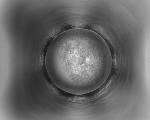 X0000094380458200711021229