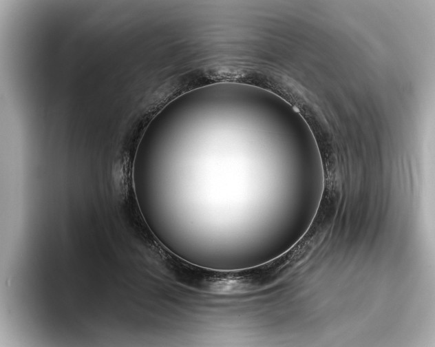 X0000094380460200711021229