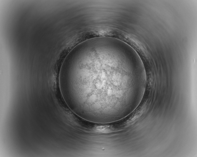 X0000094380461200711021229