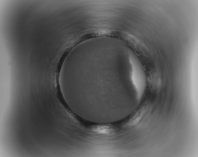 X0000094380462200711021229
