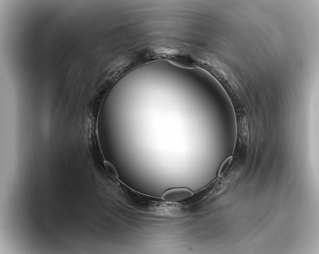 X0000094380463200711021229