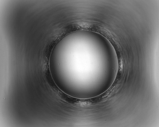 X0000094380464200711021229