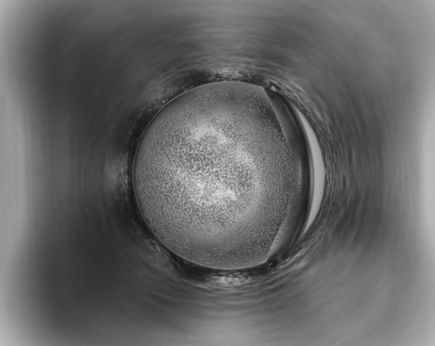 X0000094380466200711021229