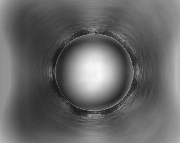 X0000094380470200711021229