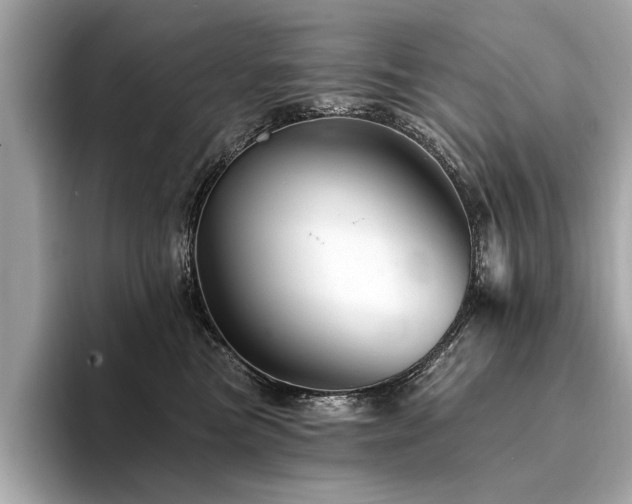 X0000094380473200711021229