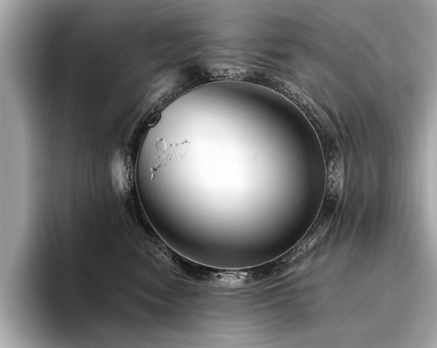 X0000094380474200711021229