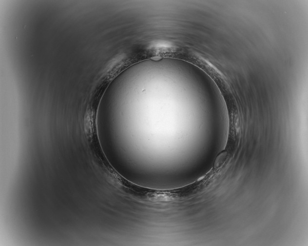 X0000094380475200711021229