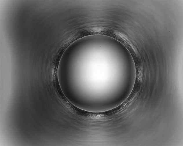 X0000094380476200711021229
