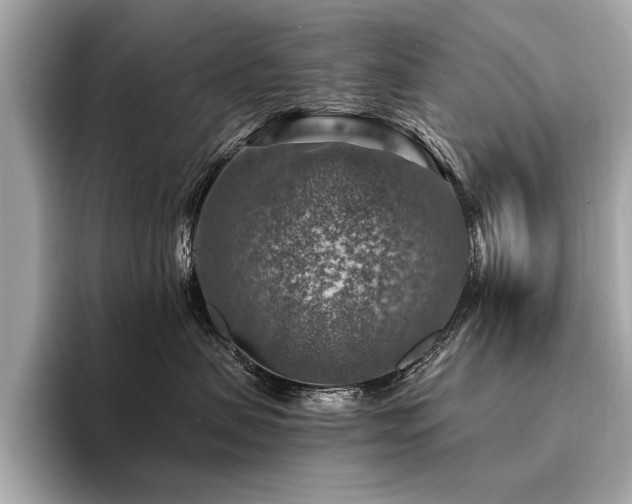 X0000094380479200711021229