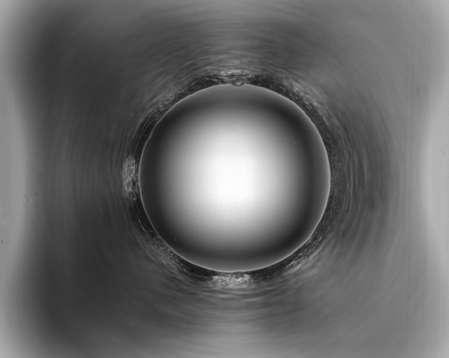 X0000094380480200711021229