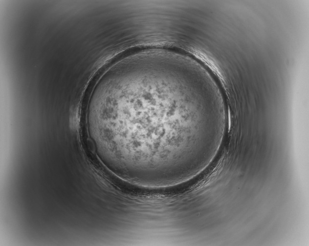 X0000094380483200711021229