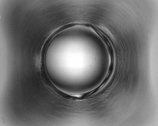 X0000094380484200711021229