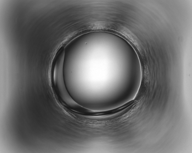 X0000094380485200711021229