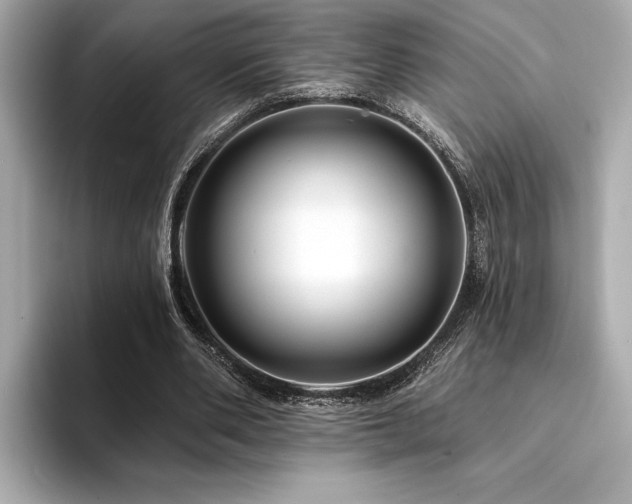 X0000094380486200711021229