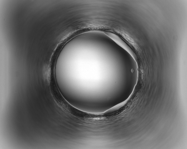 X0000094380488200711021229