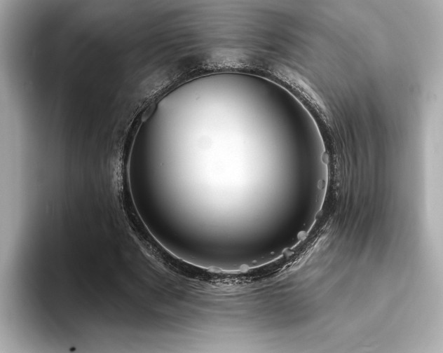 X0000094380489200711021229