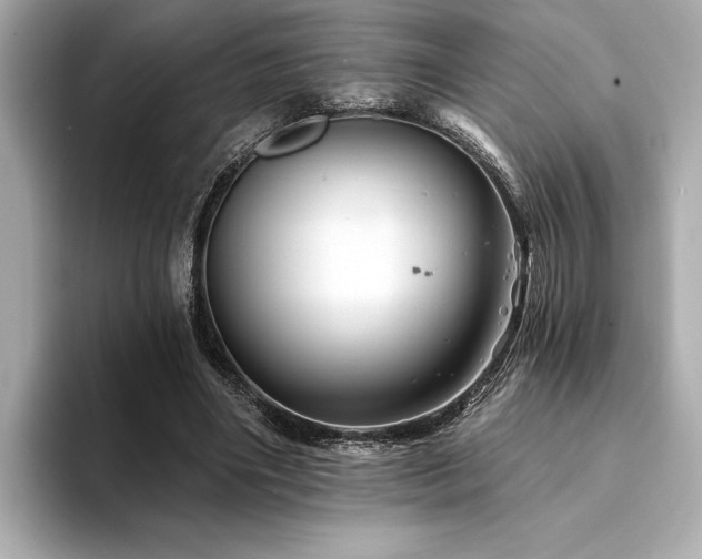 X0000094380490200711021229