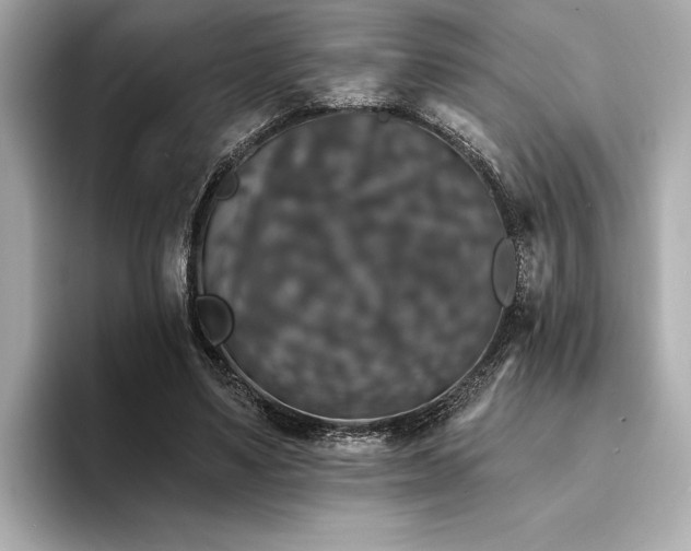 X0000094380491200711021229