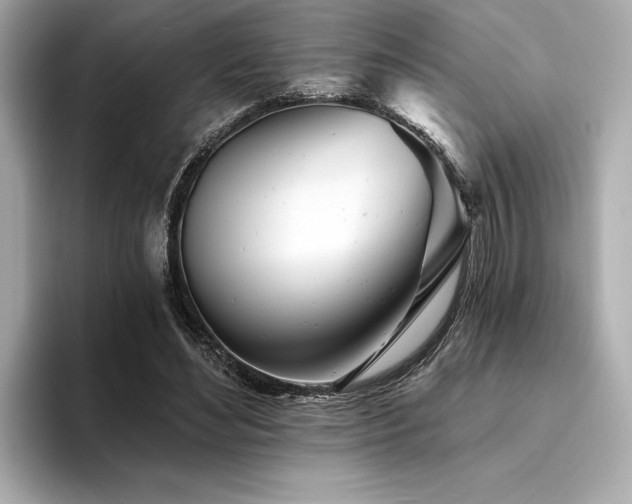 X0000094380492200711021229