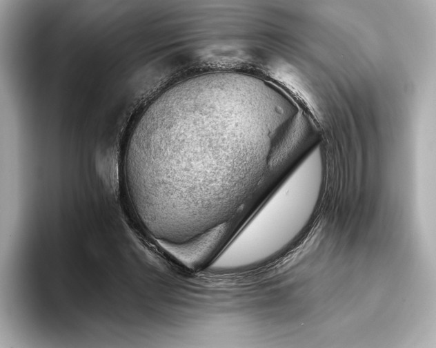 X0000094380493200711021229