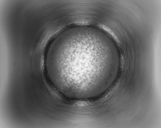 X0000094380494200711021229