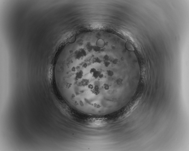 X0000094380495200711021228
