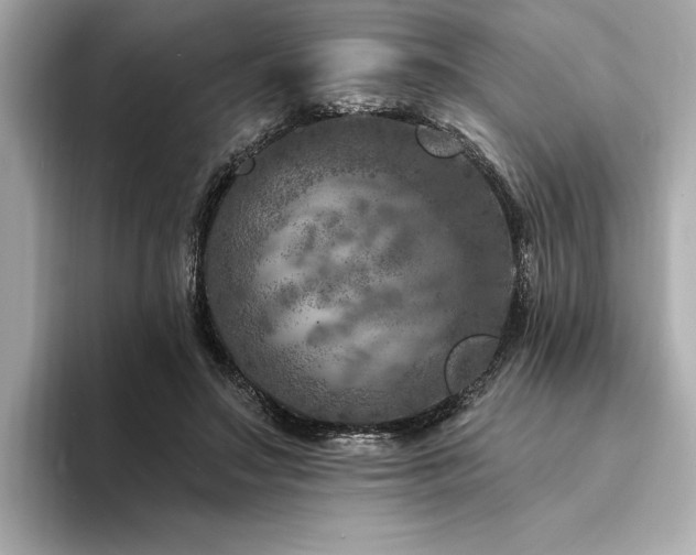 X0000094380499200711021228