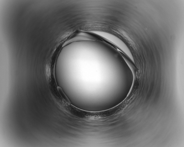 X0000094380500200711021228