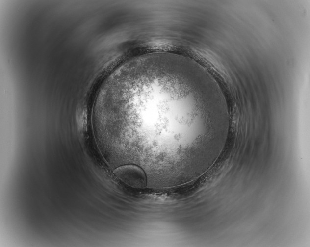 X0000094380502200711021228