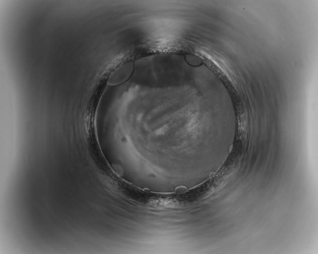 X0000094380503200711021228